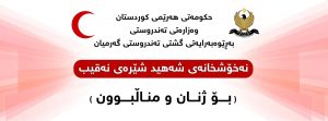 ئەگەر بەنیازی منداڵبوونی.. بوەستە دەرزی نەماوە