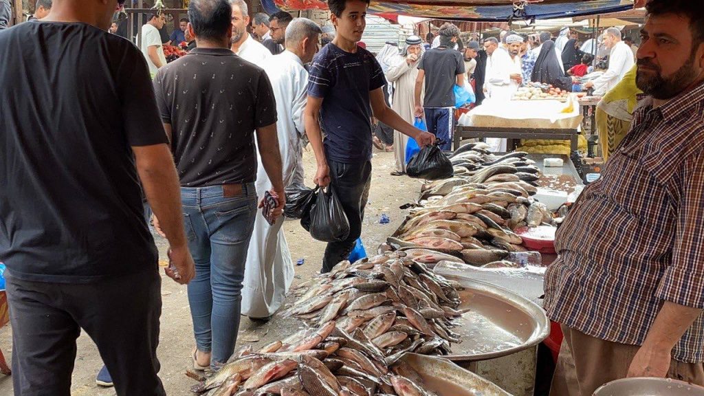 چەندین جۆری رەسەن لەبازاڕەکانی ماسی لەناسرییە دیارنەماون