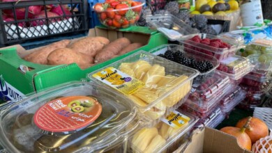 هەڵوژەی ترش کیلۆی ٢٠٠ هەزار دینارە