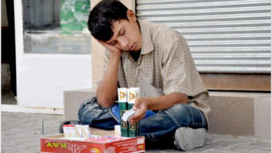 ٩٨٪ـی منداڵانی ئاوارە بە زۆر ئیشیان پێ دەکرێت