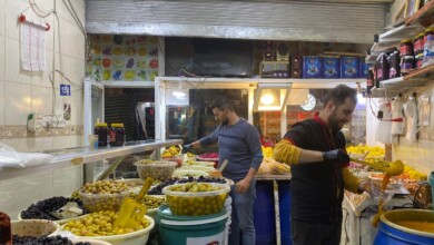 کەم کەس هەیە لە دهۆک ترشیاتەکەی نەخواردبێت