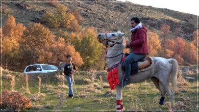 باڵه‌كایه‌تى چوار وەرزە گەشتیاران لەخۆدەگرێت