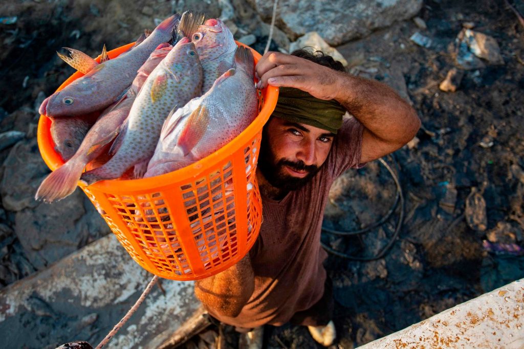 ئەمڕۆ تەم و مژی بەندەری فاو راوەماسی کەمکردەوە