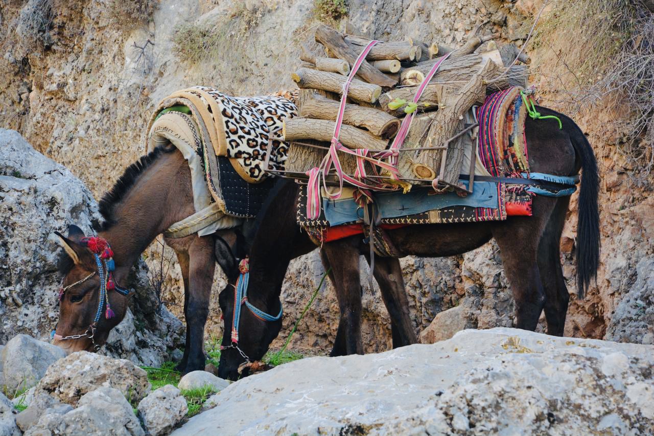 داربڕینەوە لە نێوان گەرما و گیرفاندا