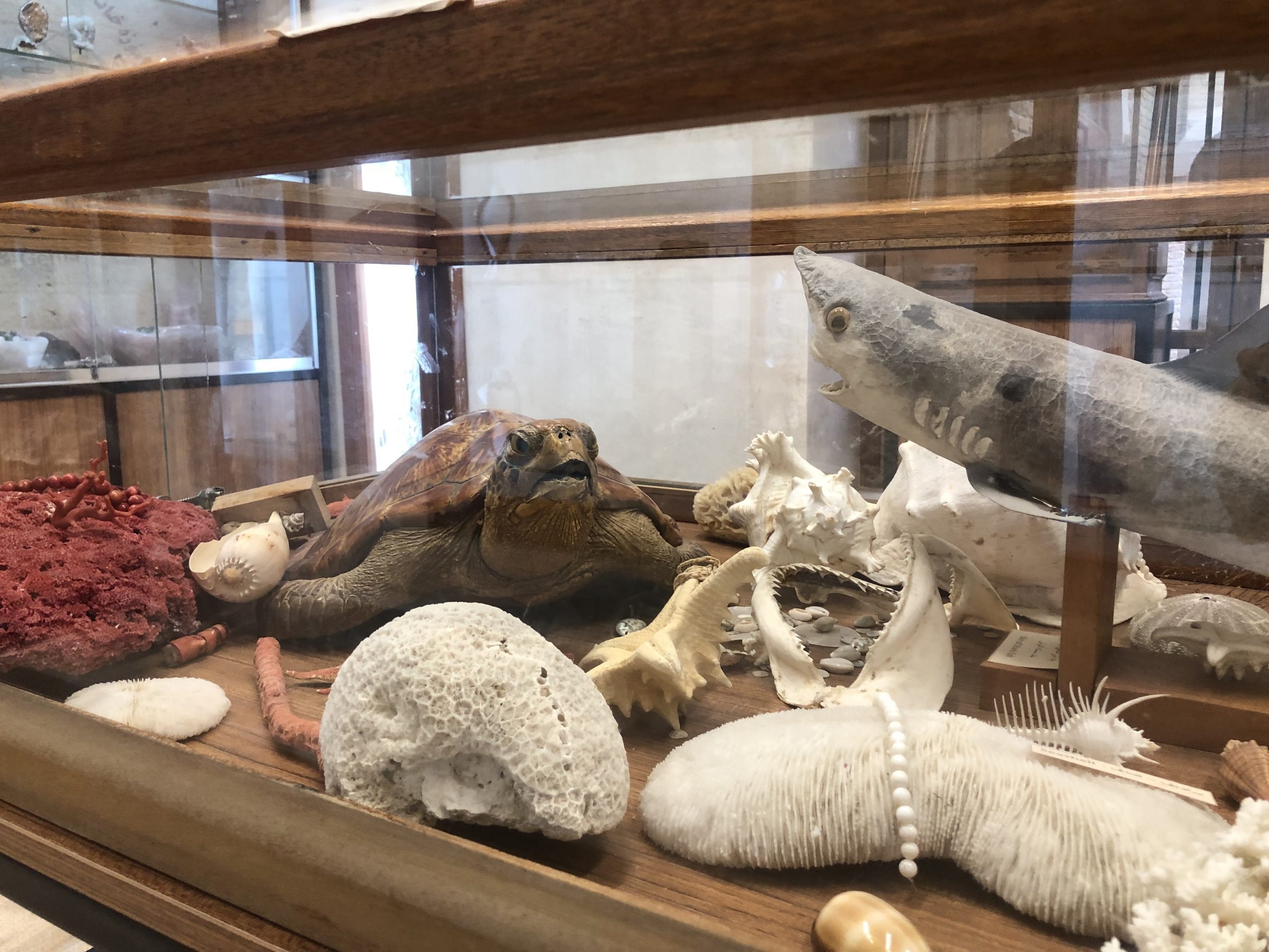 بەردە گەوهەرییەكانی مۆزەخانەی هەولێر مێژوویان ملیۆنا�...