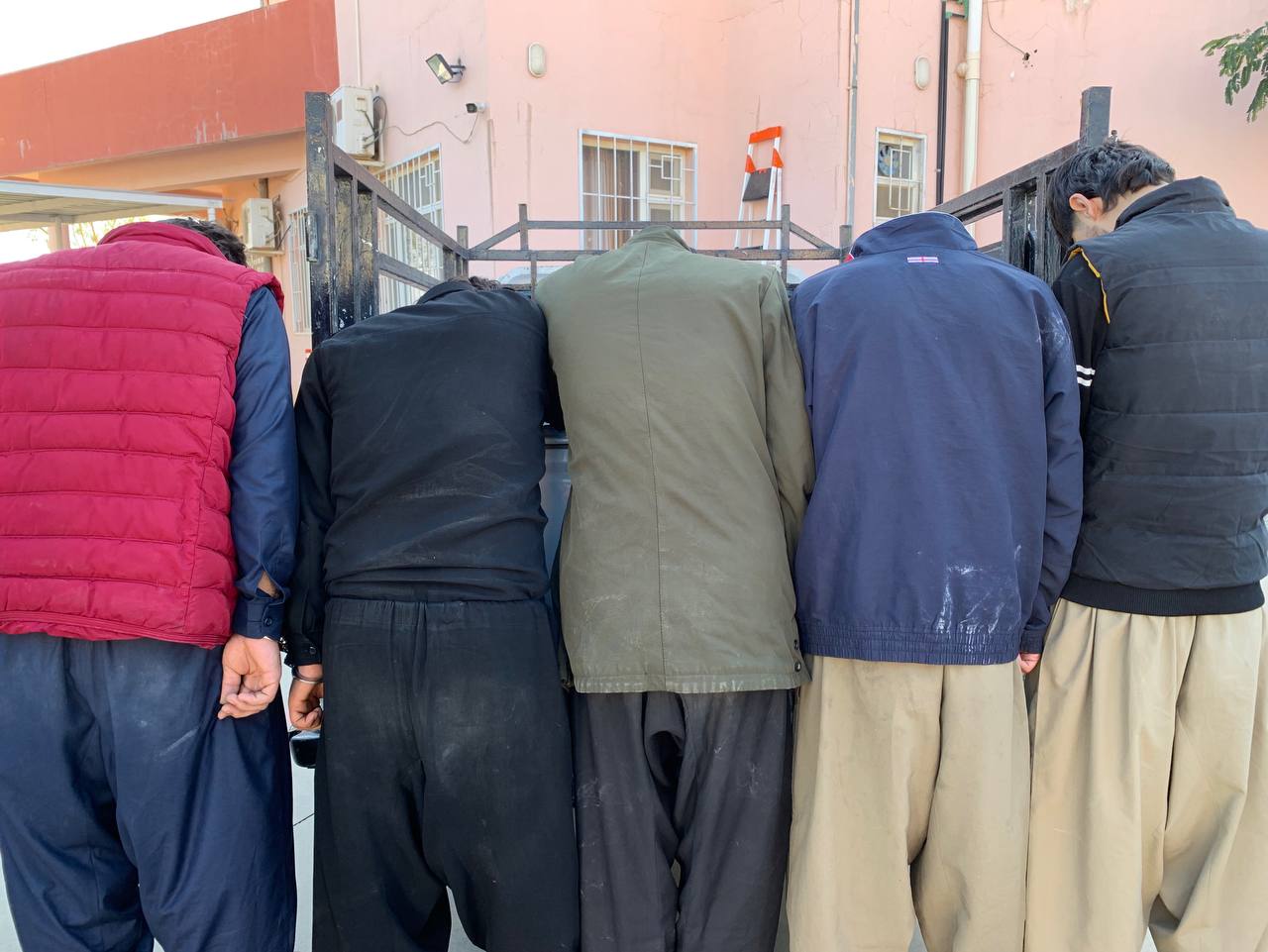 گەرمیان.. لەسەر دزینی ١٣ سەر ئاژەڵ پێنج کەس دەستگیر کرا...