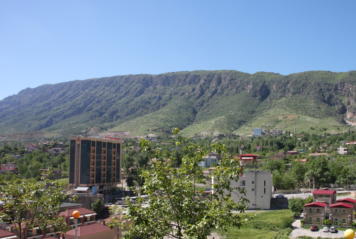 قائیمقامی شەقڵاوە داوای توێژینەوە لە ئەکادیمیەکان دەک...