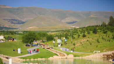 سلێمانی ده‌یه‌وێ رێژەی ستانداردی جیهانی لە سەوزایی تێبپه‌ڕێنێ