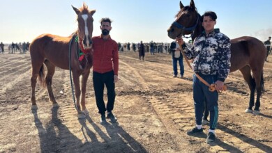 ئەسپسوارانی کوردستان و عێراق لە دیوانییە خۆیان بۆ جیهان ئامادە دەکەن