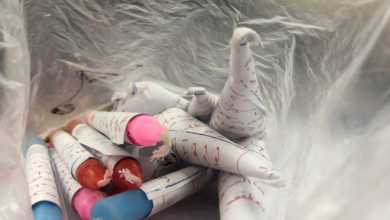 ئارایشتگایەک کە سحر و جادوی تیادا کراوە داخرا 