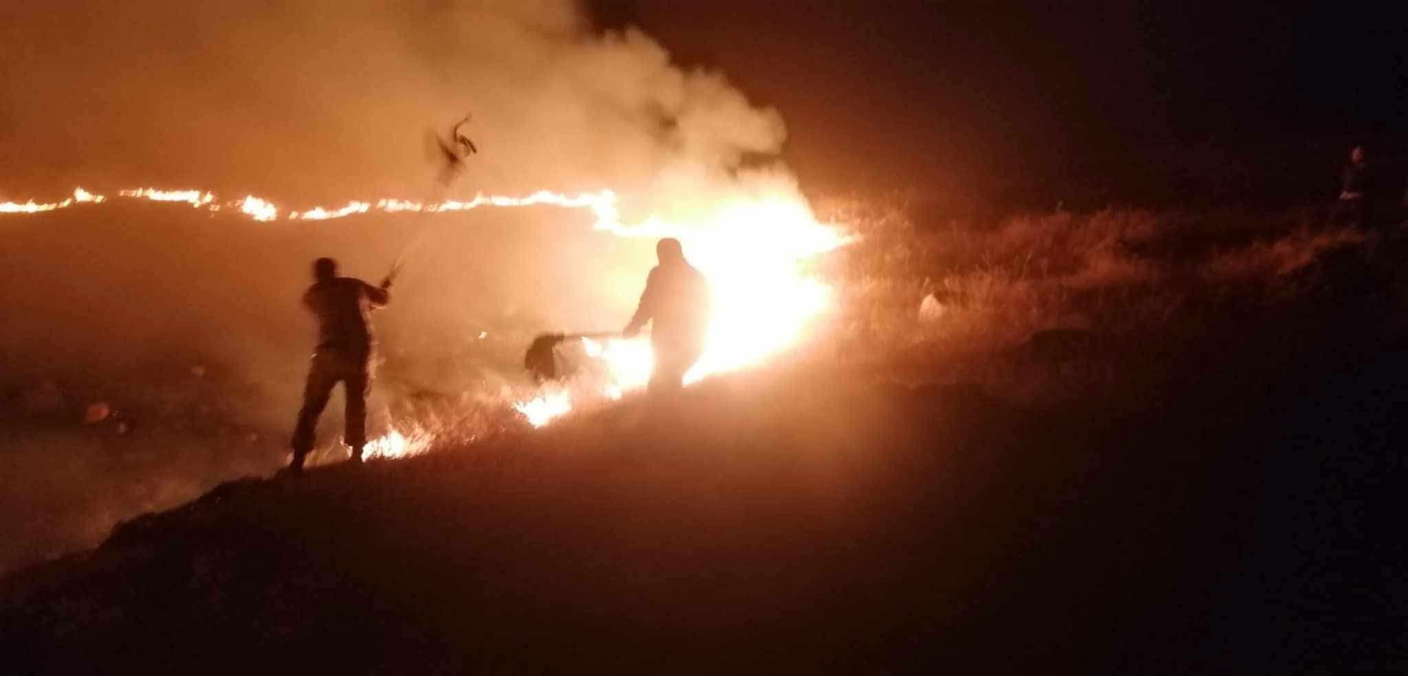 داربەڕووەکان لە شوێنێک دەبڕدرێنەوە و لە شوێنێکی دیکە دەسووتێن
