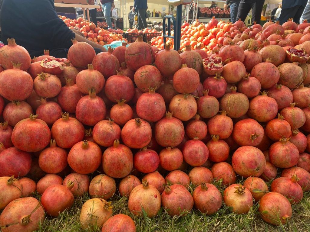 ئاڵوگۆڕ و کڕین و فرۆشتنی دوکانەکان لە فێستیڤاڵی هەناری هەڵەبجە قەدەغە کرا