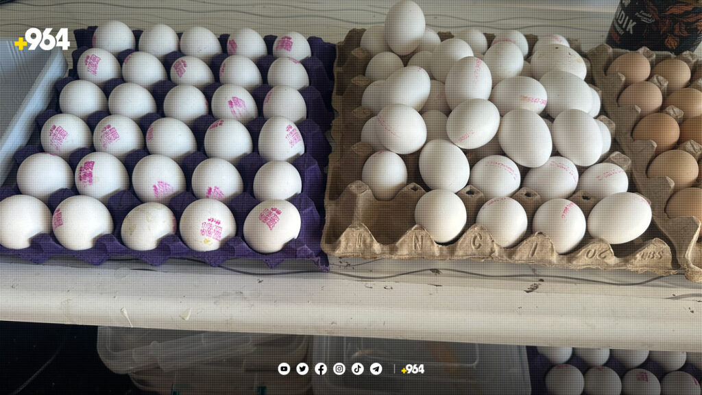 نرخى هێلکە لە بازاڕدا بەرزە؛ هێشتا خواست لە خستنەڕوو زیاترە