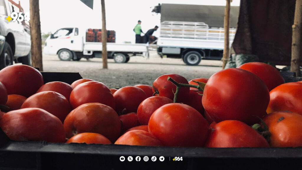 ئەندازیارێکی کشتوکاڵی هۆشداری بە جوتیارانی پێنجوێن دەدات دوای بارانبارین