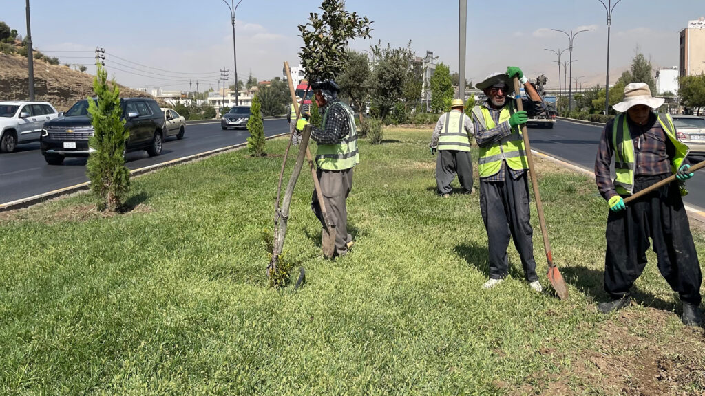 لە سلێمانی 10 هەزار نەمام دەچێنرێت