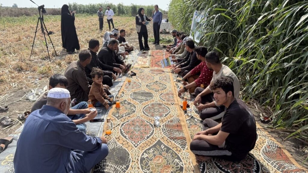 ئەوروپییەکان داوای پێدانی گەنمەشەمی بە گامێشەکانی بەسڕە دەکەن