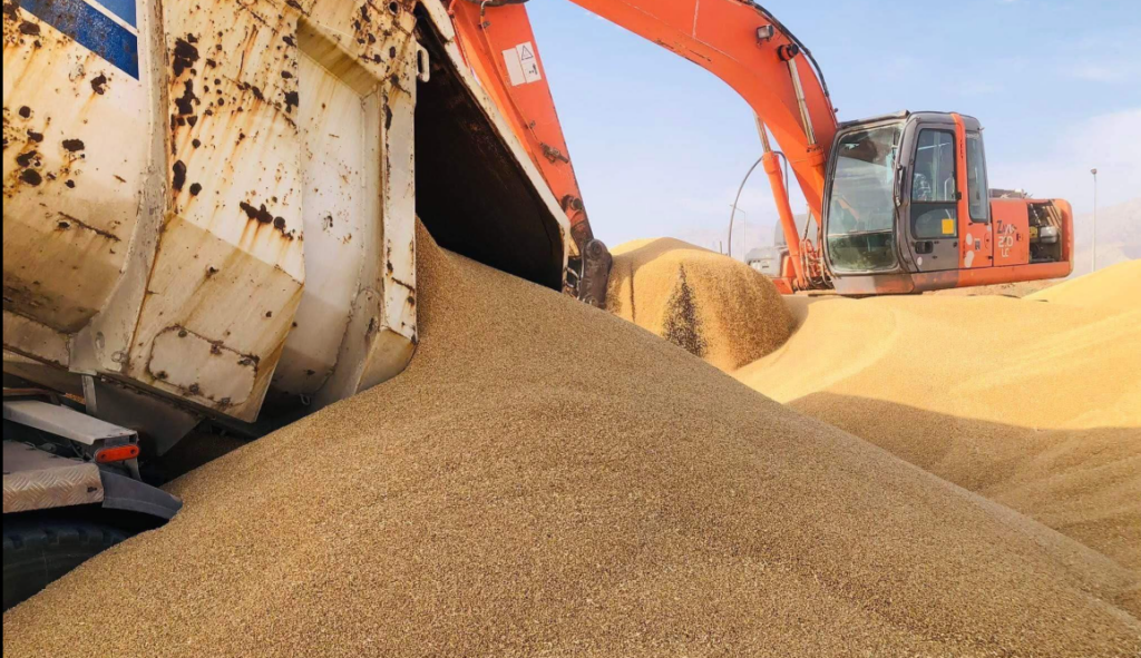 سبەینێ چەکی پارەی گەنم لە هەڵەبجە دابەشدەکرێت