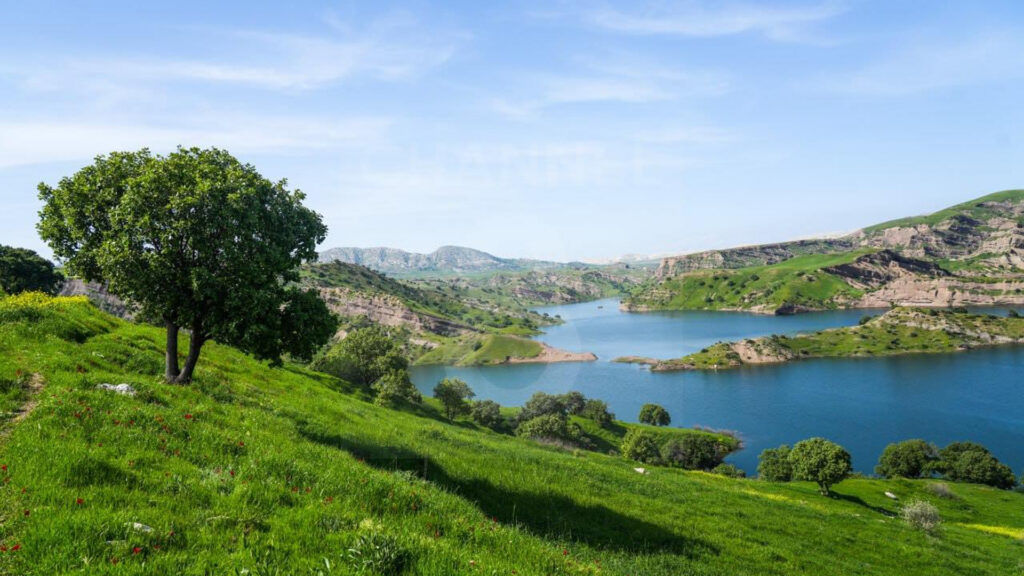 ئەمڕۆ کەیفی خۆتان بکەن و بەیانی زوو بگەڕێنەوە