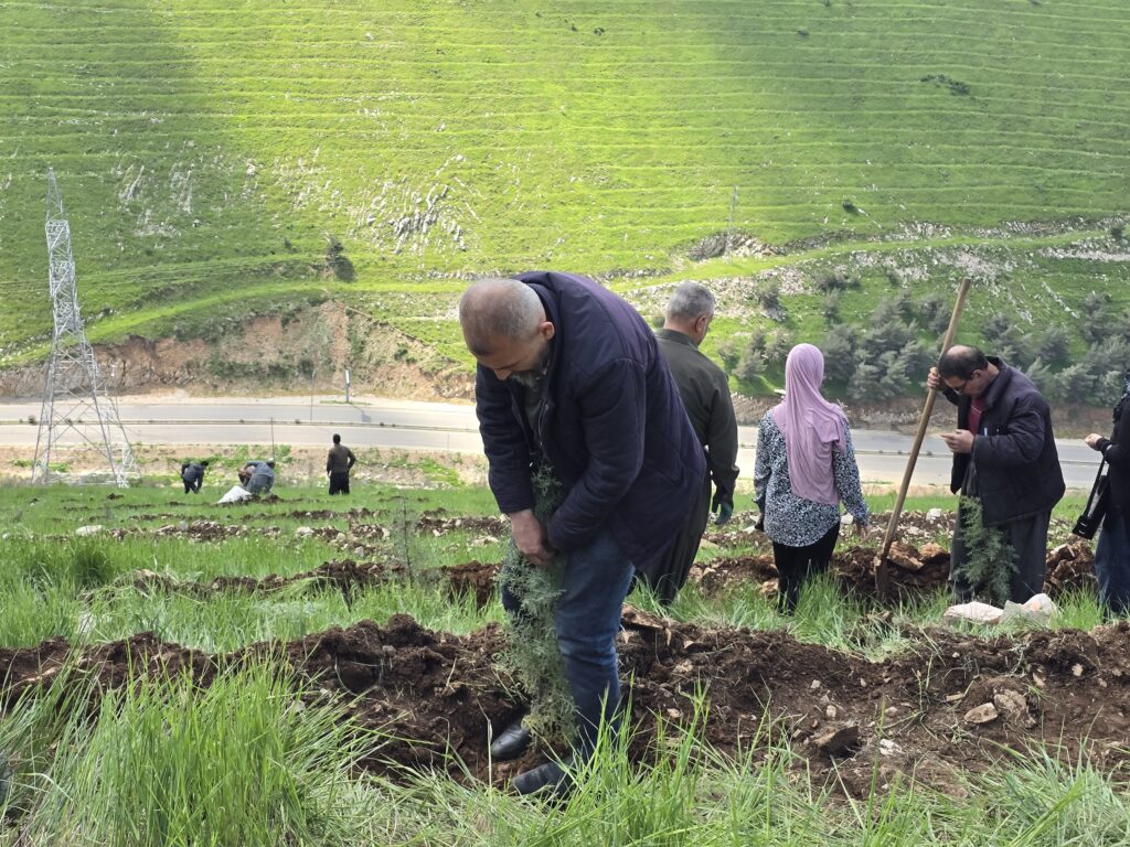 دۆڵەمیران و ئەزمەڕ سەوزتر دەکرێن؛ 1000 نەمام دەچێندرێن