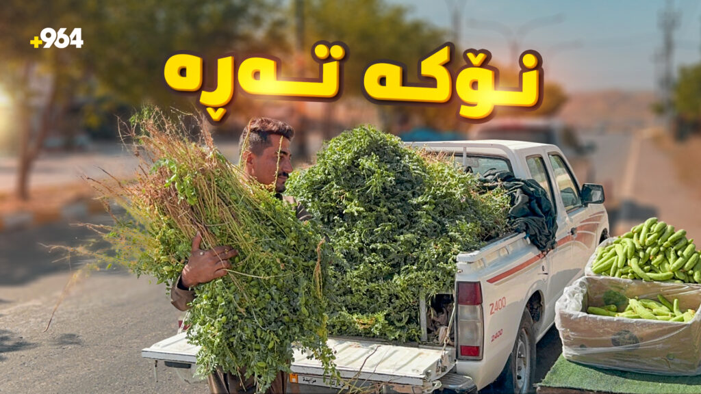 گەنجەکانی گەرمیان لەگەڵ خۆرھەڵاتن دەسکەنەی "نۆکە تەڕە" دەکەن