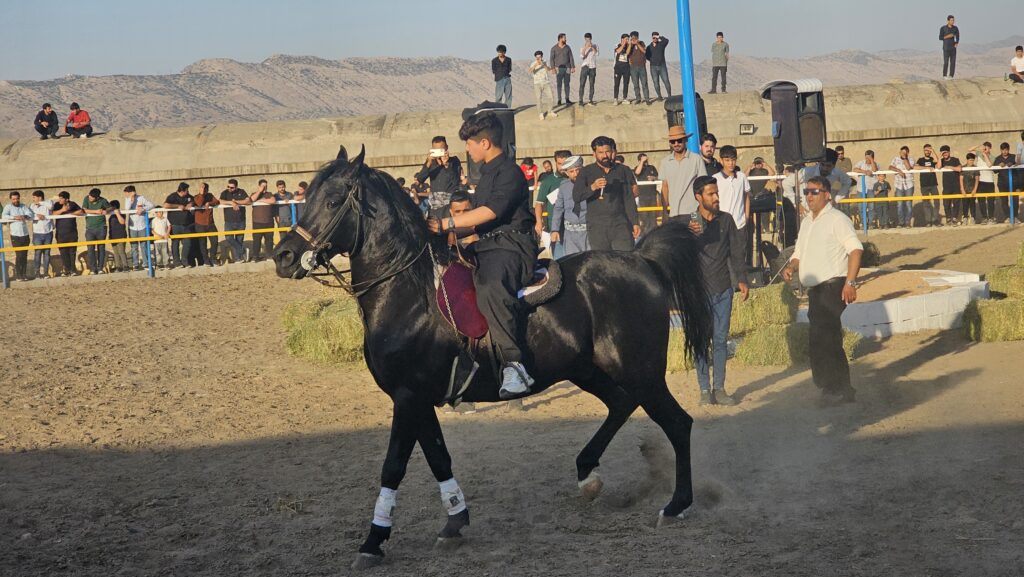 ئەسپسوارێکی کۆیە: لەوەتەی هەین ئەسپمان هەیە