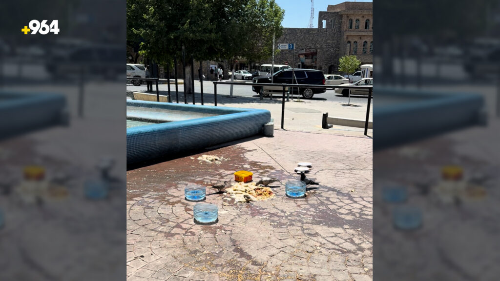 بە خەیاڵی خۆیان خزمەتیان بە باڵندەکان کردووە بەڵام ژینگەی پارکەکەیان تێکداوە